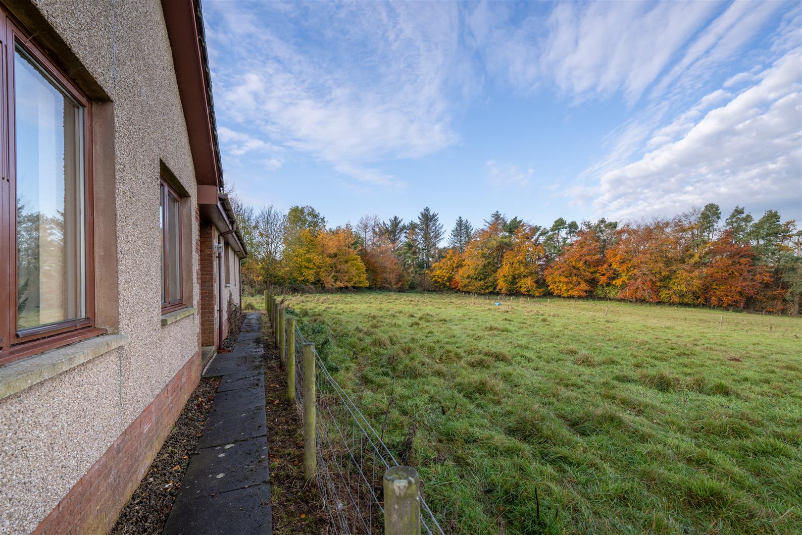 mayar_peelwalls_ayton-22