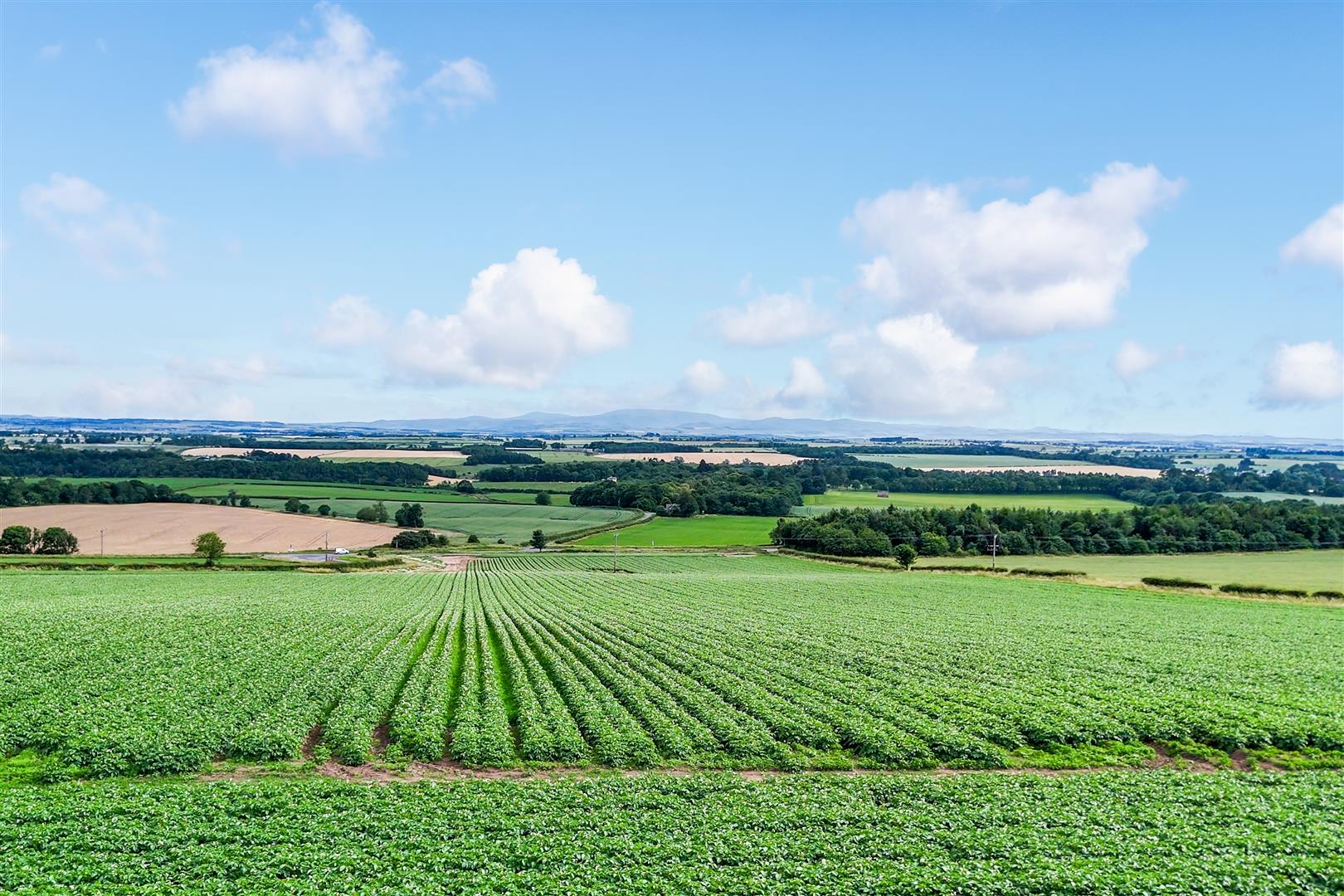 cairnview_cottage-18