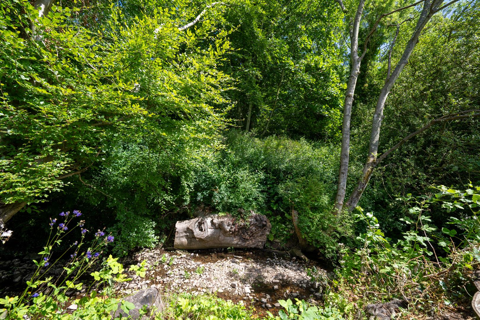 Burns Cottage, Coldingham-30