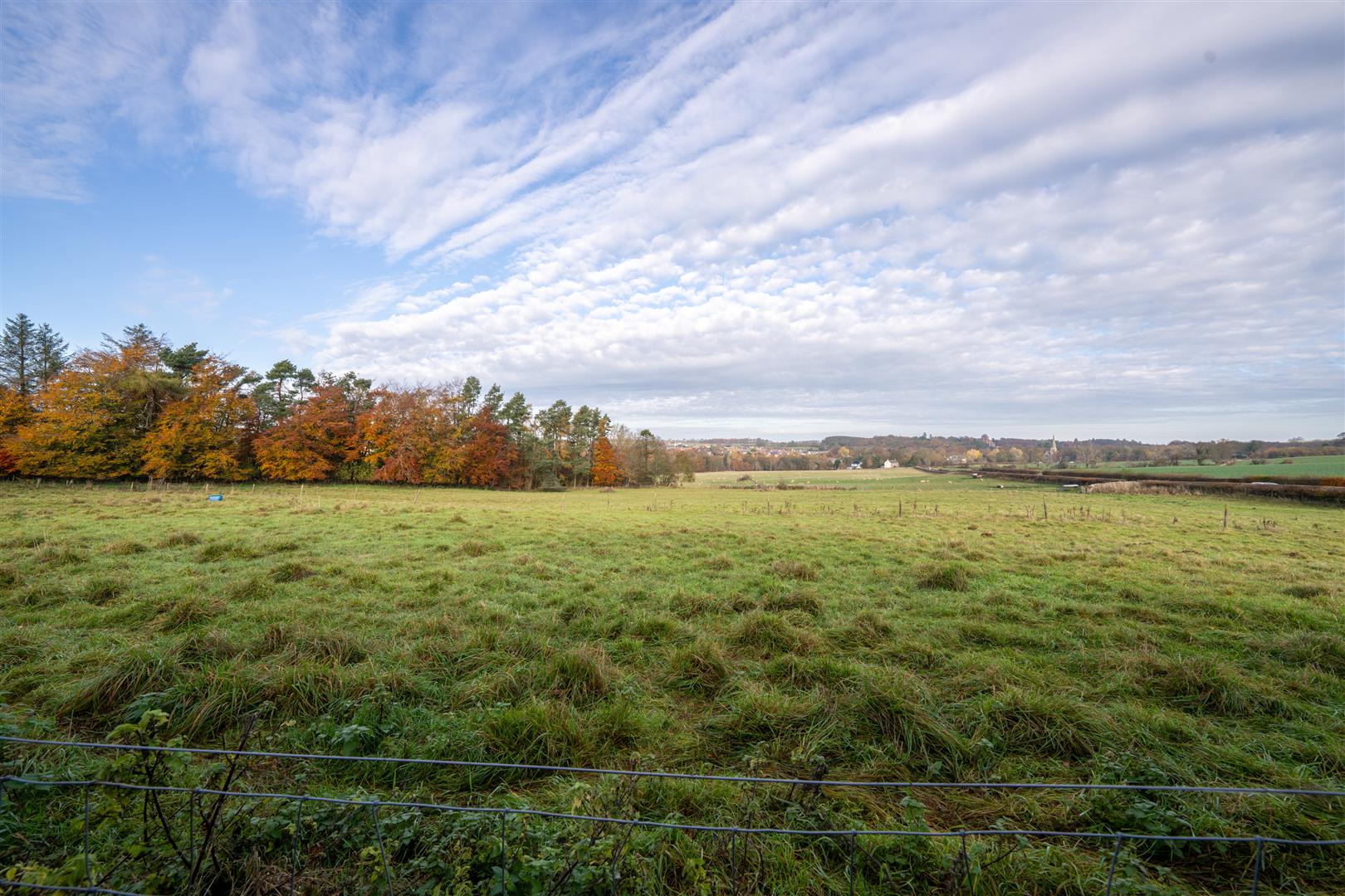 mayar_peelwalls_ayton-25