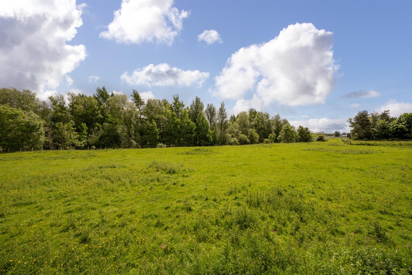 20_east_high_street_greenlaw-22