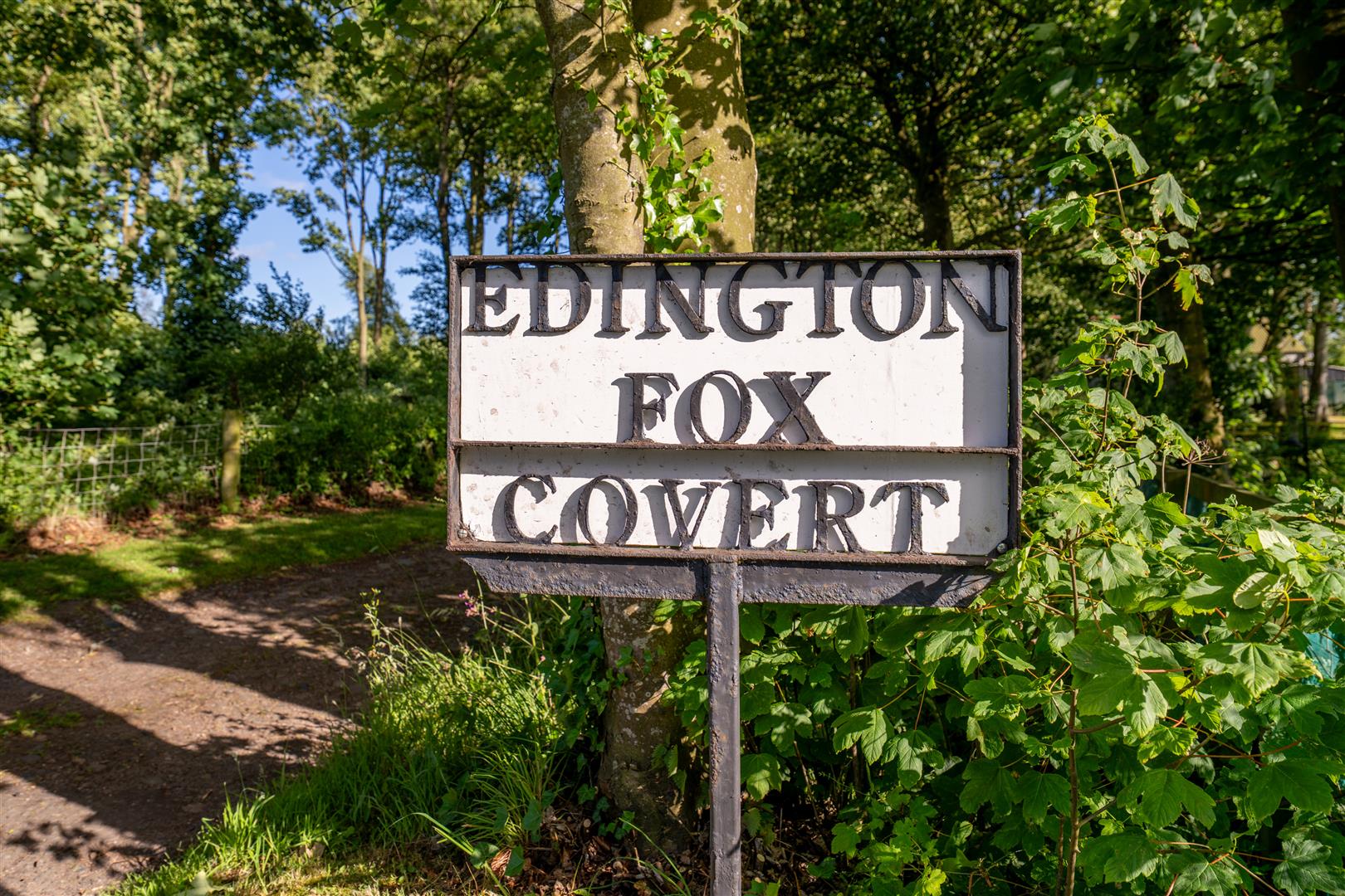 Edington_Fox_Covert_lifestyle-5