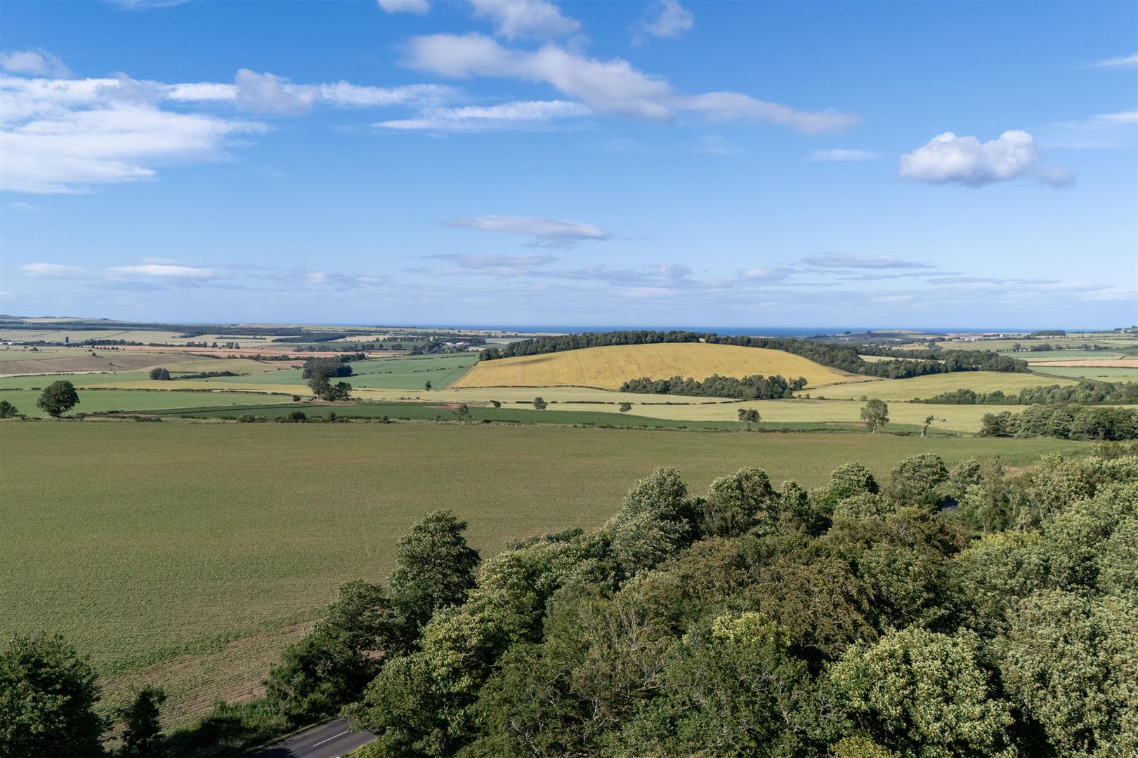 Edington_Fox_Covert-28