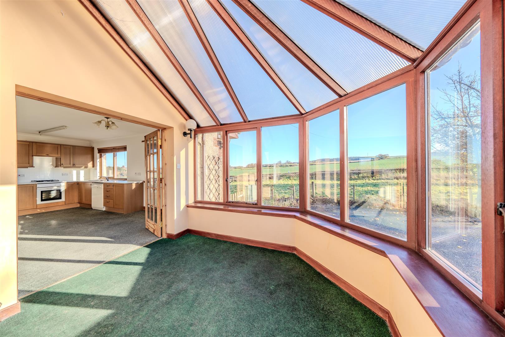 mayar_peelwalls_ayton-06