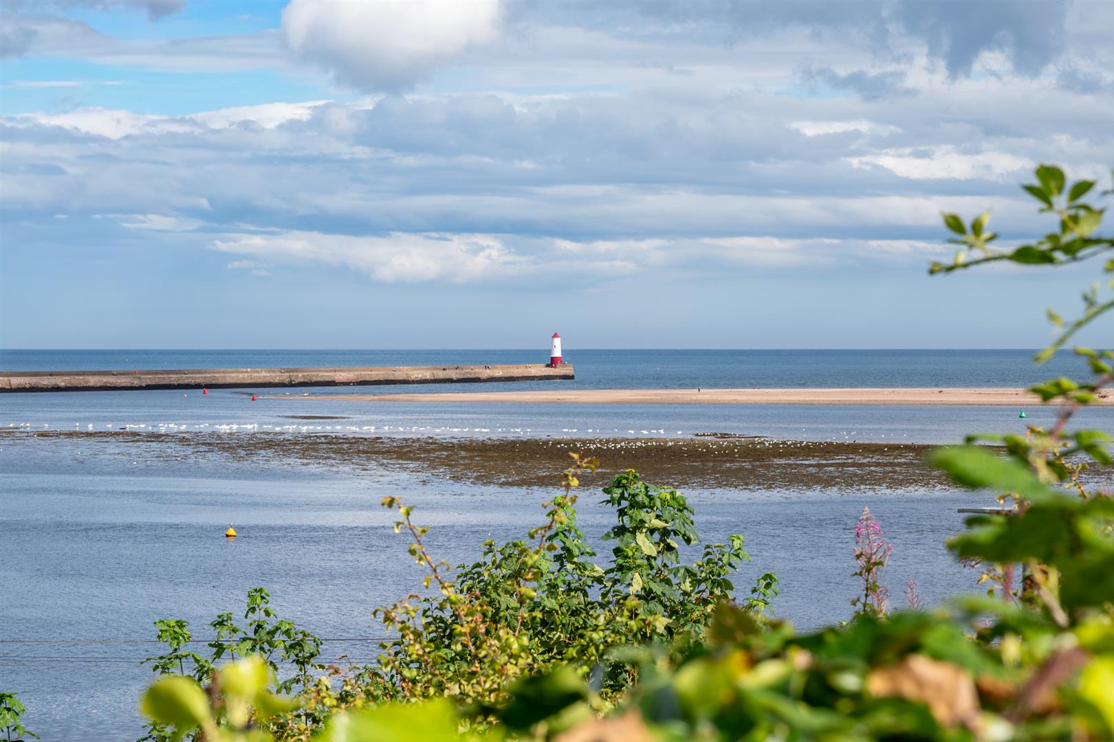 3 Mount Road_Tweedmouth-16