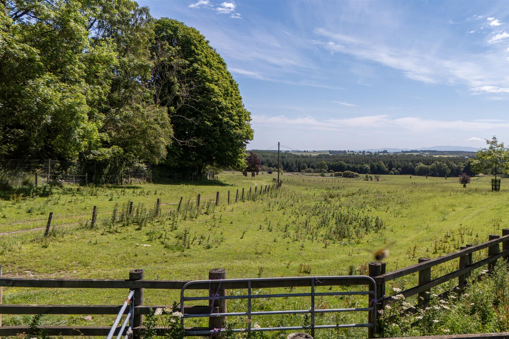 eagle_hall_plot_gordon-11