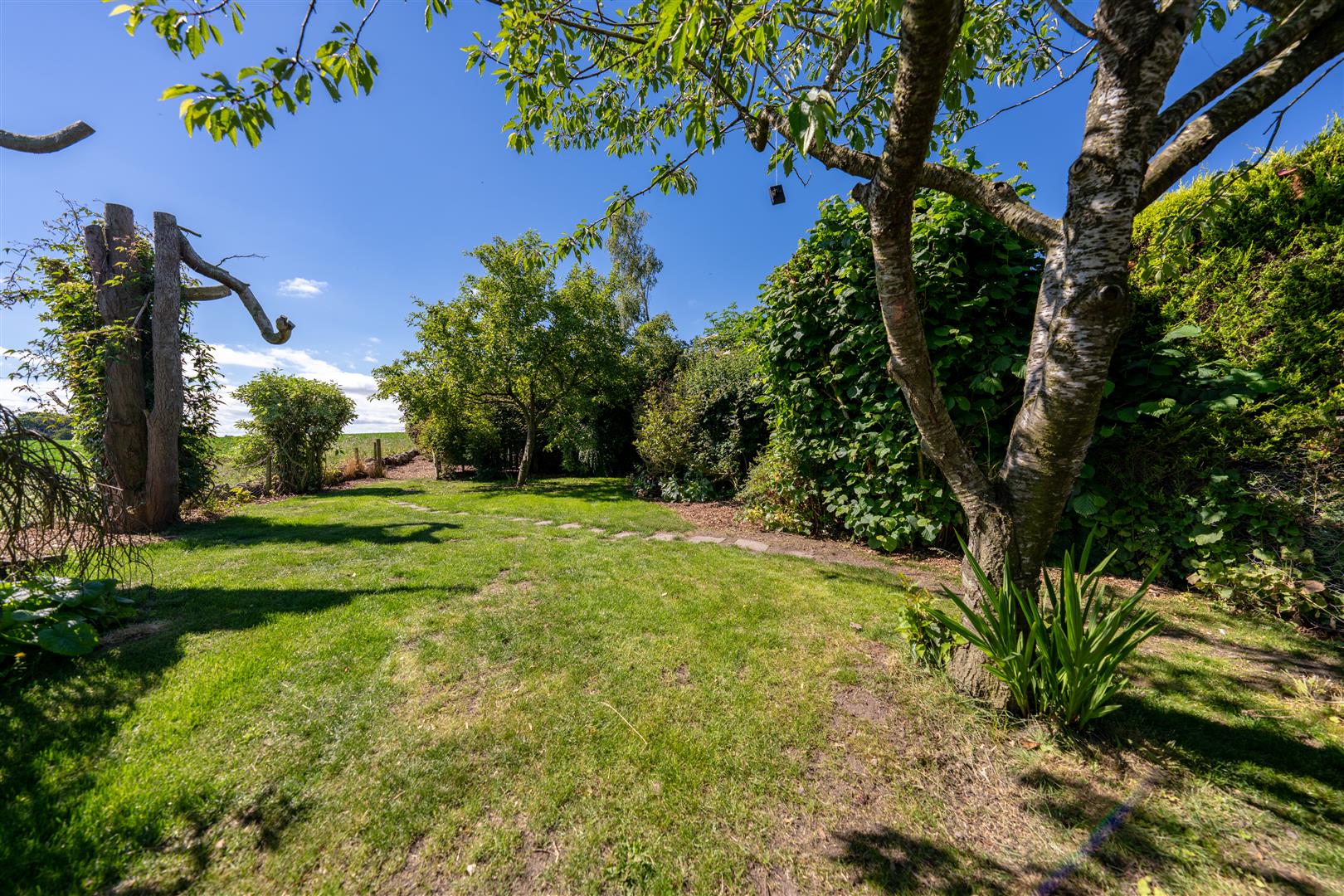 burndale_house_auchencrow-23