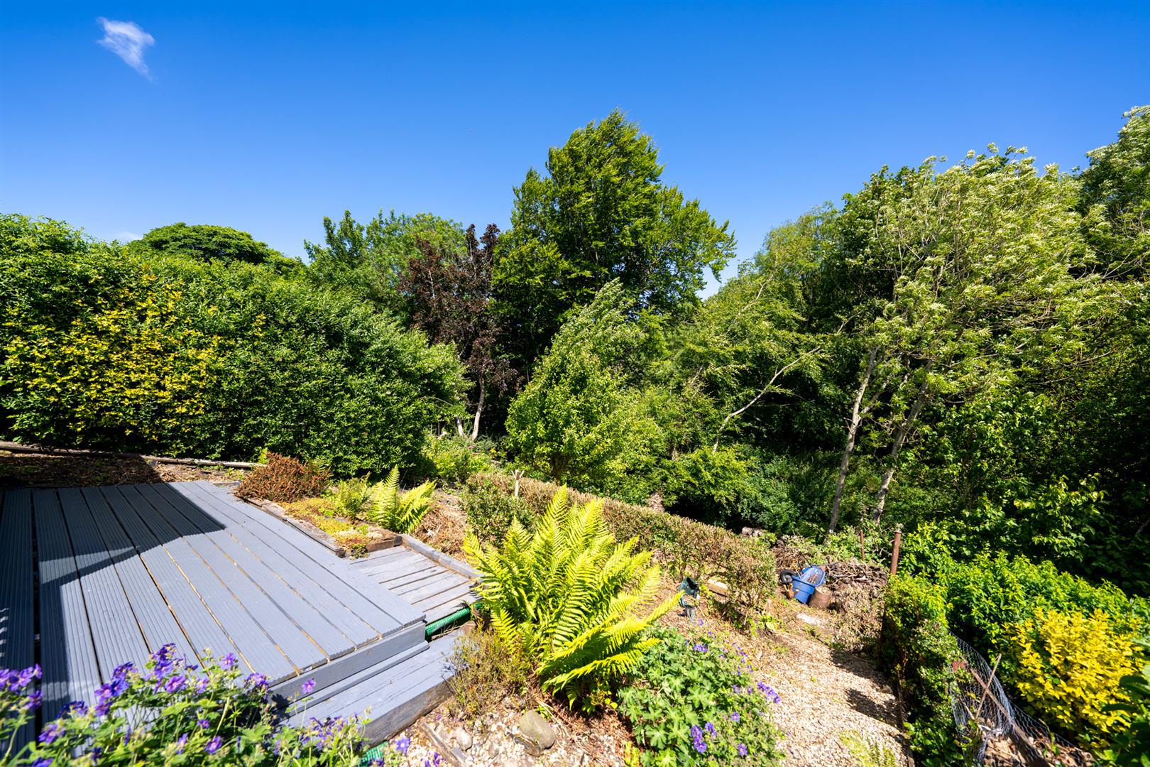 Burns Cottage, Coldingham-28