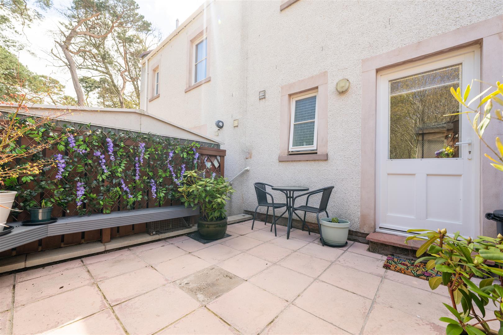 3_hazel_court_removal-2