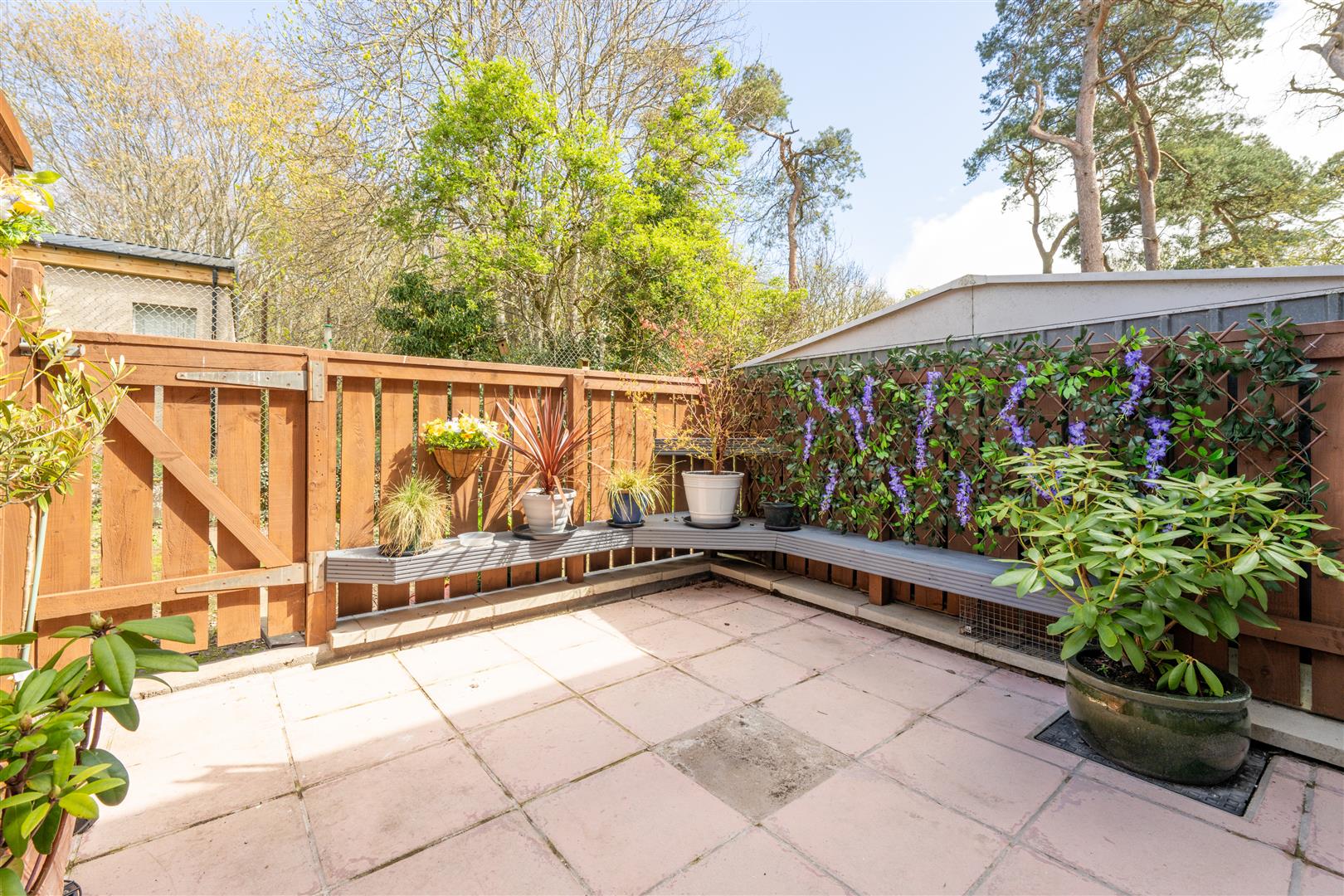 3_hazel_court_removal-1