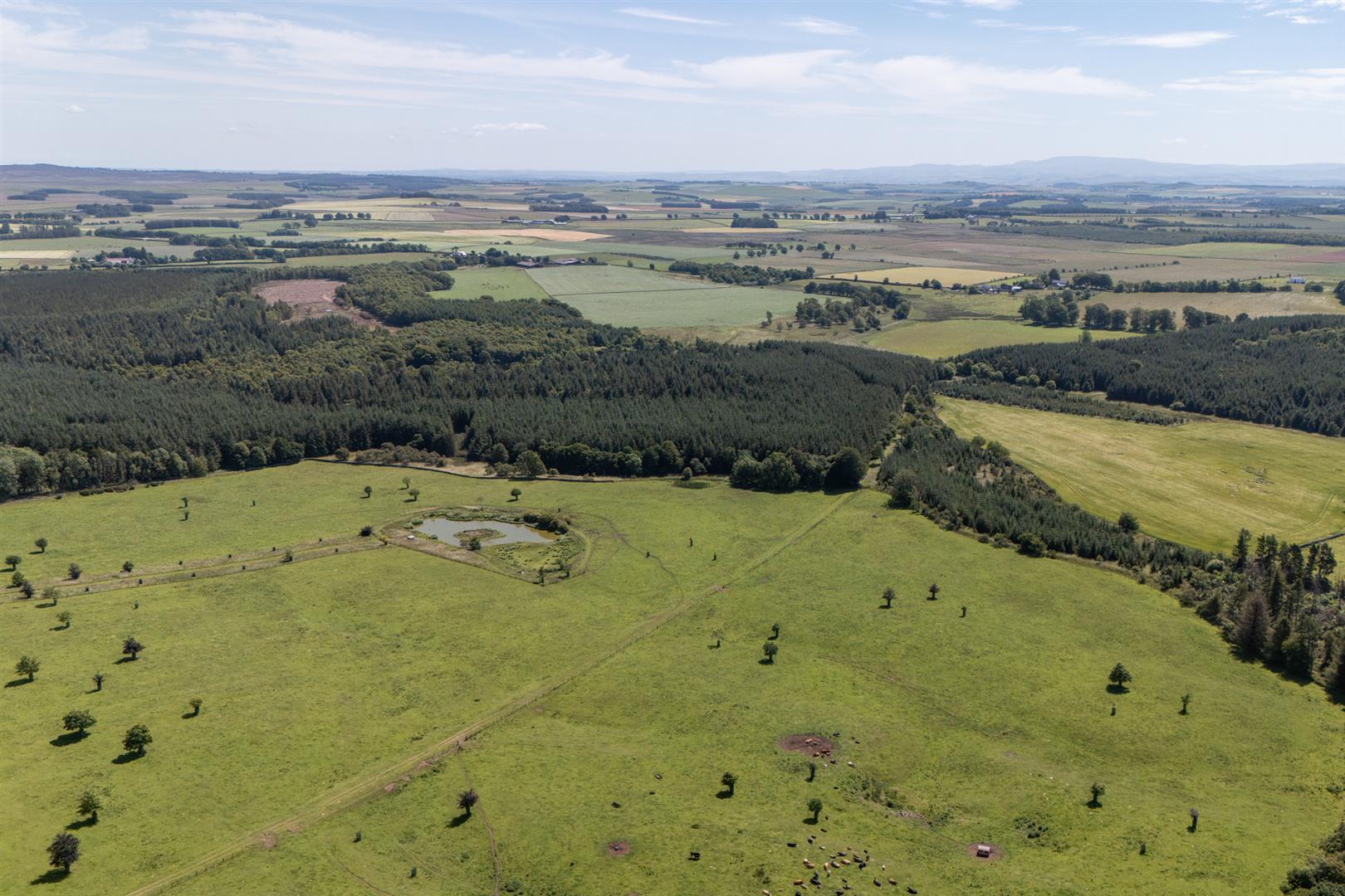 eagle_hall_plot_gordon-14