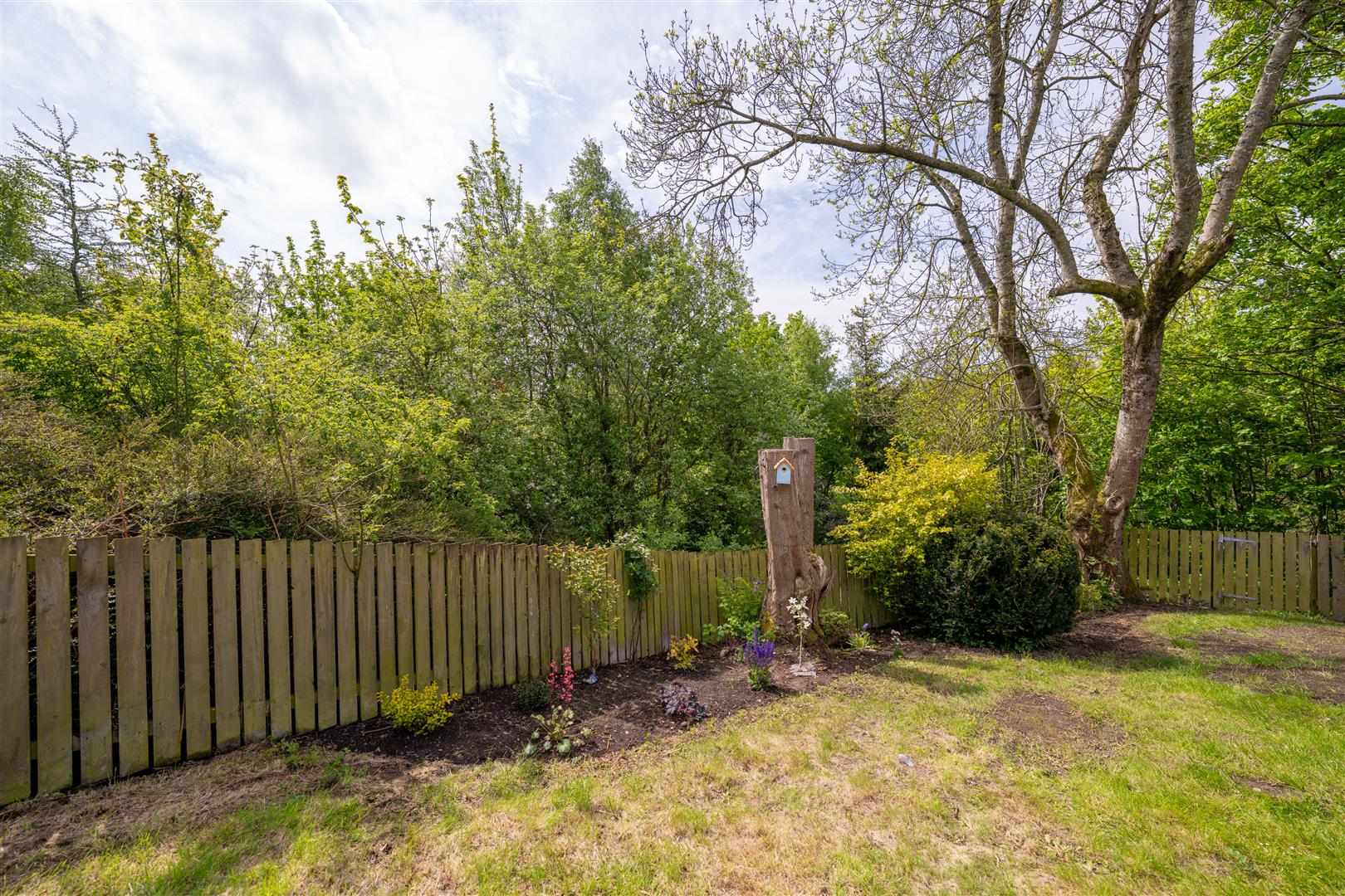 south_grange_cottage,-21